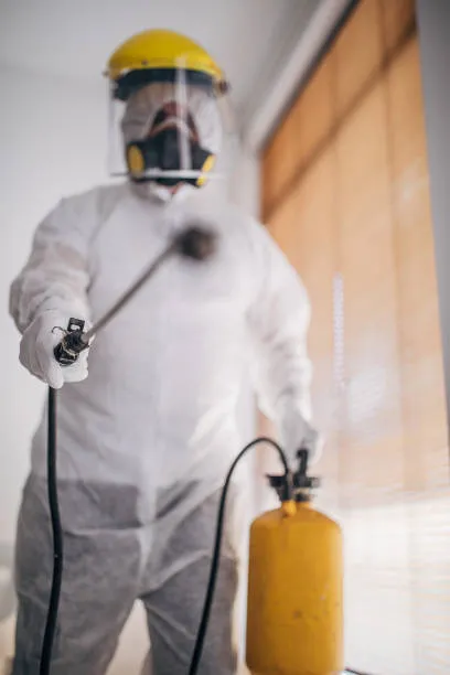 Dedetização em casa em Aparecida de Goiânia