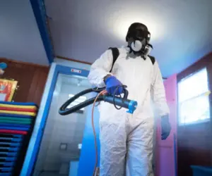 Controle de pragas urbanas