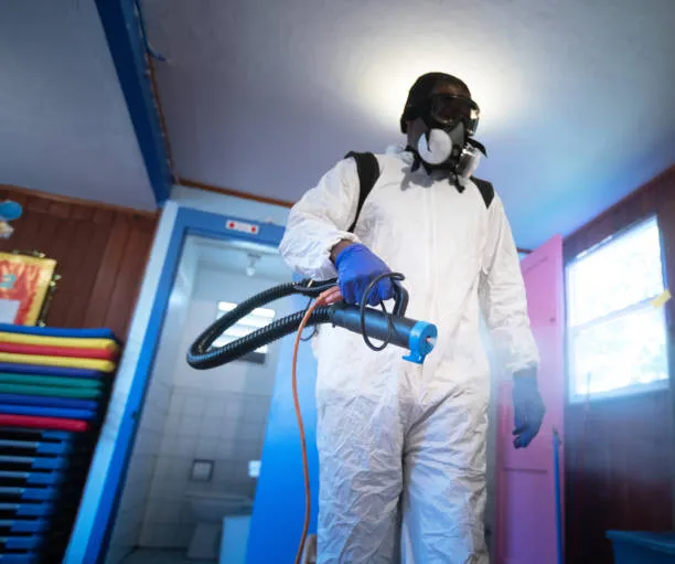 Controle de pragas urbanas