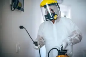 Dedetização cupim preço