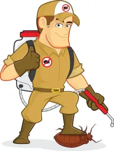 Dedetização para cupim em Aparecida de Goiânia