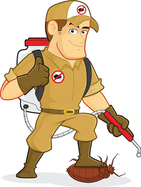 Dedetização para cupim em Aparecida de Goiânia