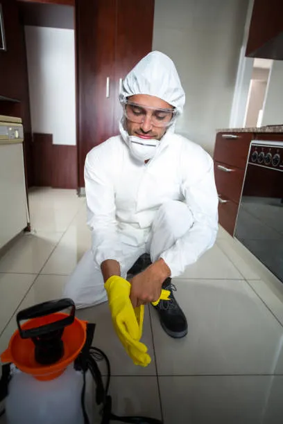 Dedetização escorpião em Aparecida de Goiânia