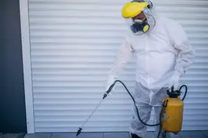 Controle de pragas pombos