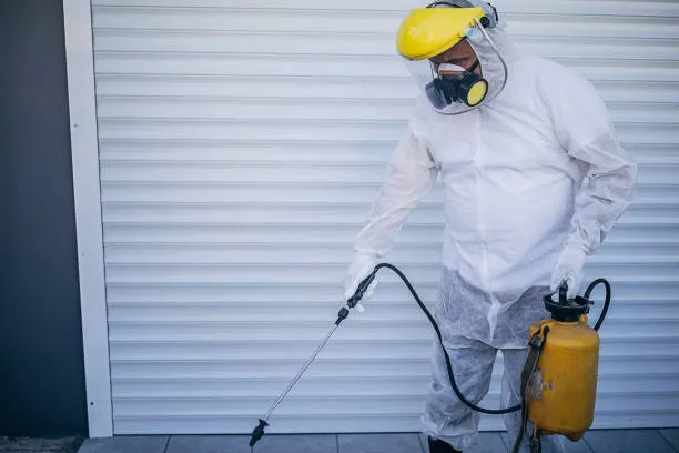 Controle de pragas pombos