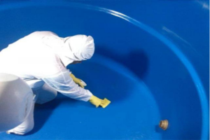 Limpeza de Caixa D’ Água