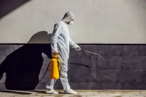 Empresa de descupinização