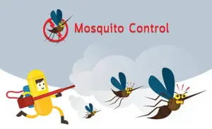 empresa de controle de pragas Naturize