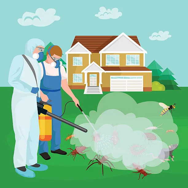 Dedetizar apartamento